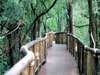 Jaci's Tree Lodge - Walking 